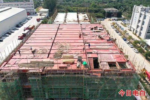 電白這些重點項目全速建設中