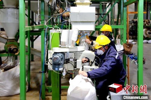專精特新 企業(yè)何以成新疆兵團(tuán)高質(zhì)量發(fā)展生力軍