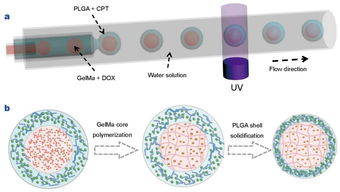 生物材料的多樣性和dds設(shè)計(jì) 藥物傳遞系統(tǒng) 專刊圖文詳解