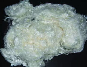 一文看懂國內(nèi)生物基纖維產(chǎn)業(yè)發(fā)展現(xiàn)狀