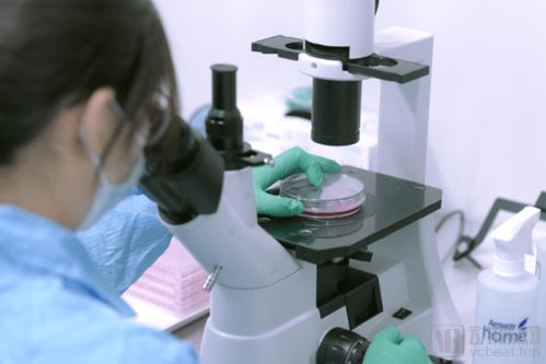 打造產業鏈 惠邦生物以獨創能力加碼IVD創新產品研發，持續發力原料市場與生物基材料技術研發